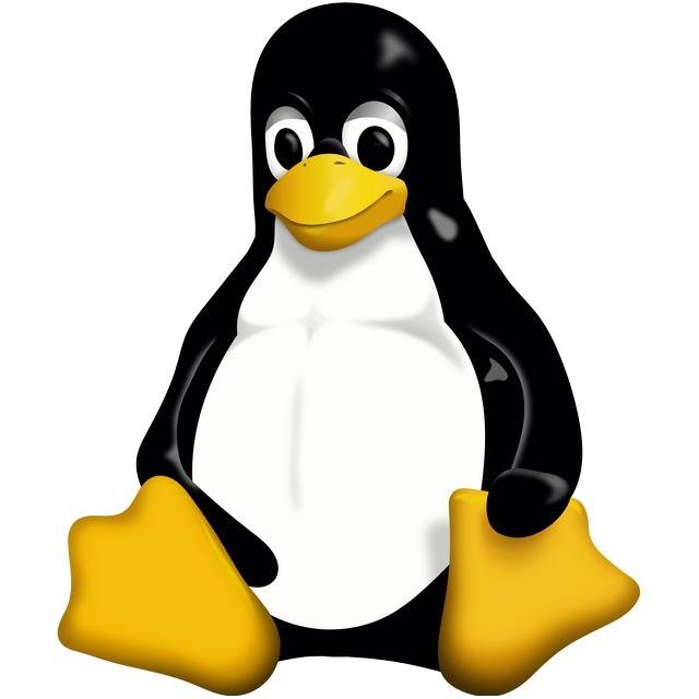 Linux 文件系统 FHS 核心目录详解